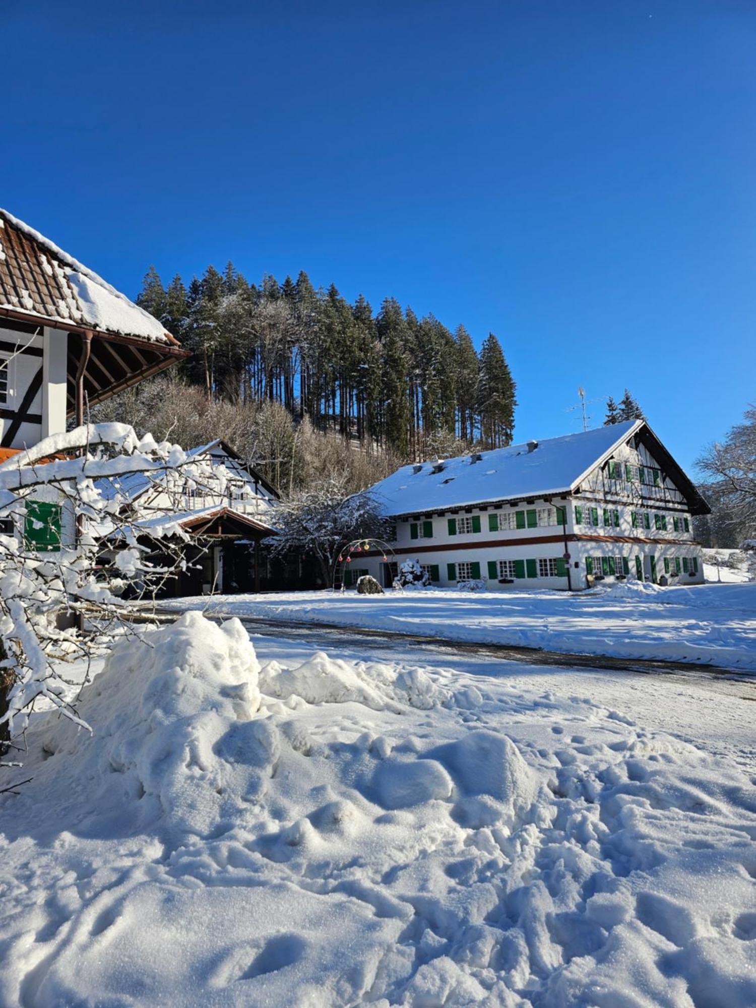 Allgaeu Residenz Natur & Spa Gmbh فيغنسباخ المظهر الخارجي الصورة